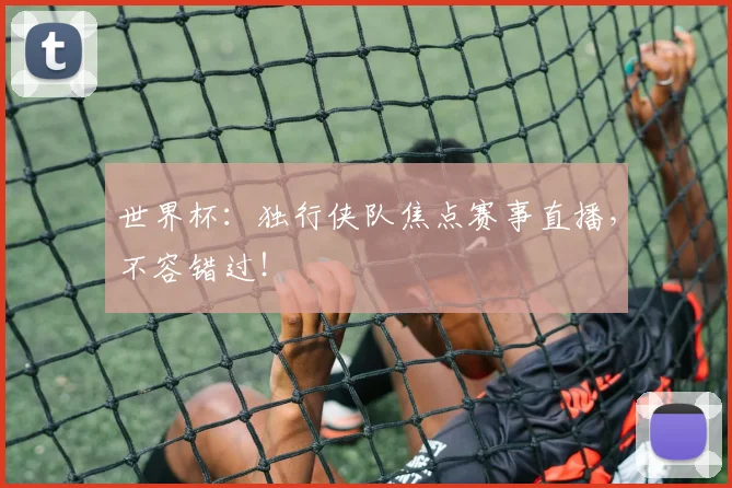 世界杯:独行侠队焦点赛事直播,不容错过!
